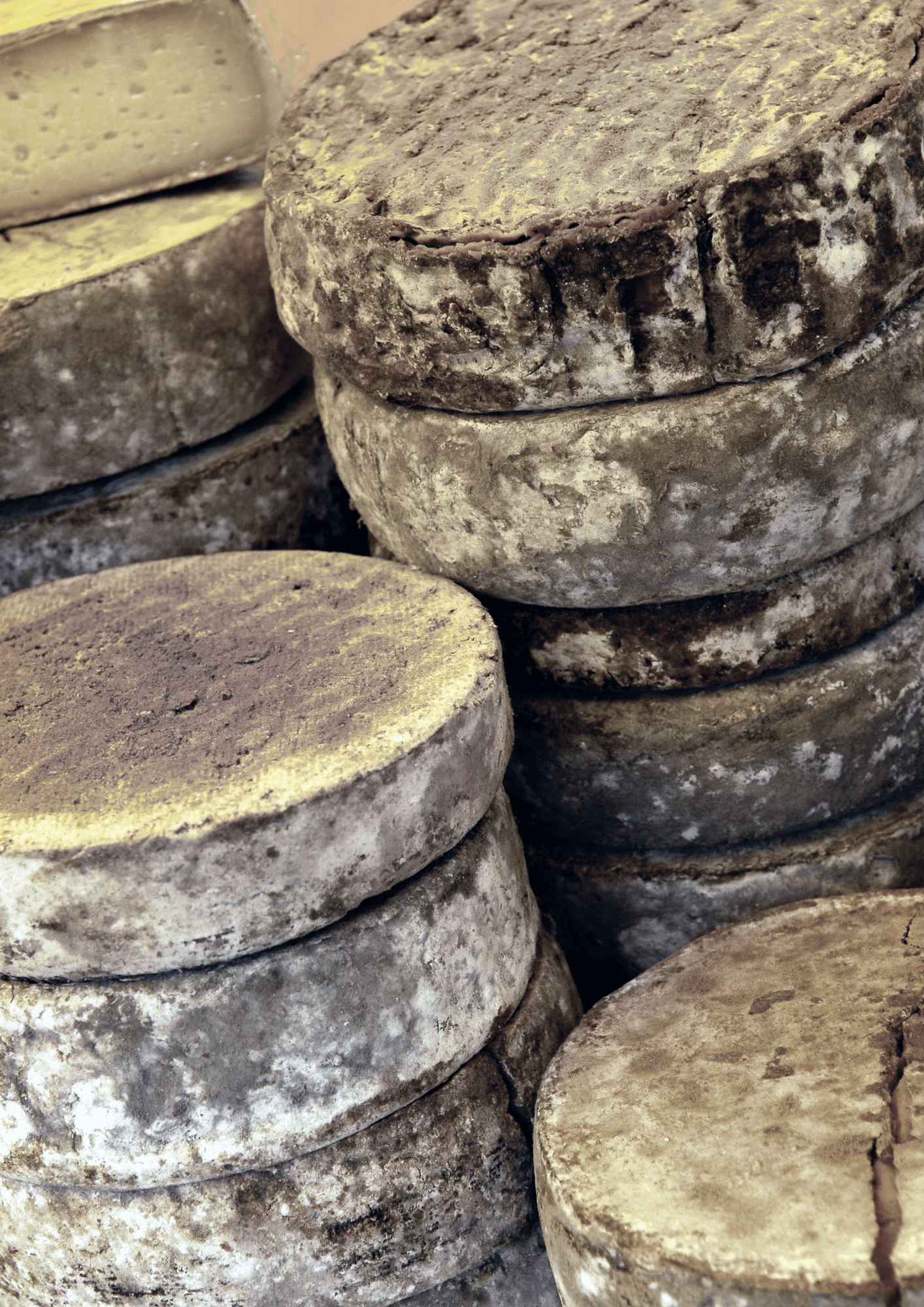 Tommes - La Dégusterie - Fromagerie à Pont-l'Évêque, Normandie