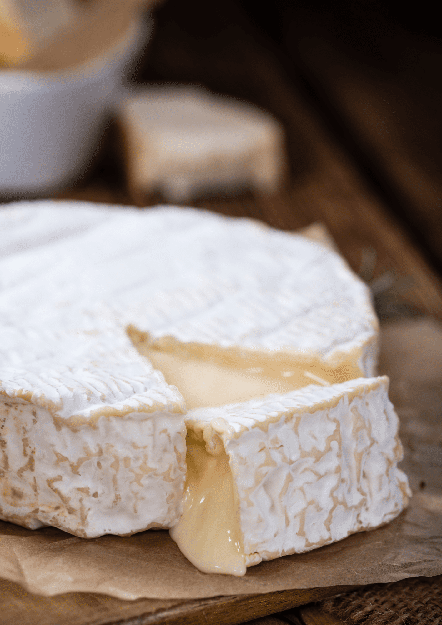 La Dégusterie - Fromagerie à Pont-l'Évêque, Normandie - Camembert